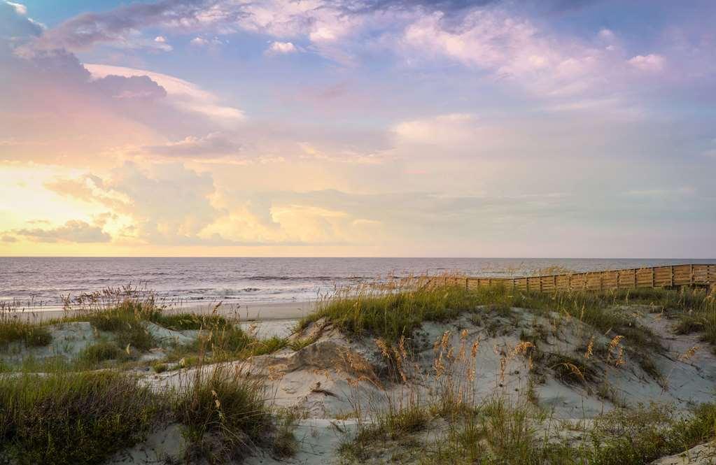 Jekyll Ocean Club Resort Jekyll Island Natura foto