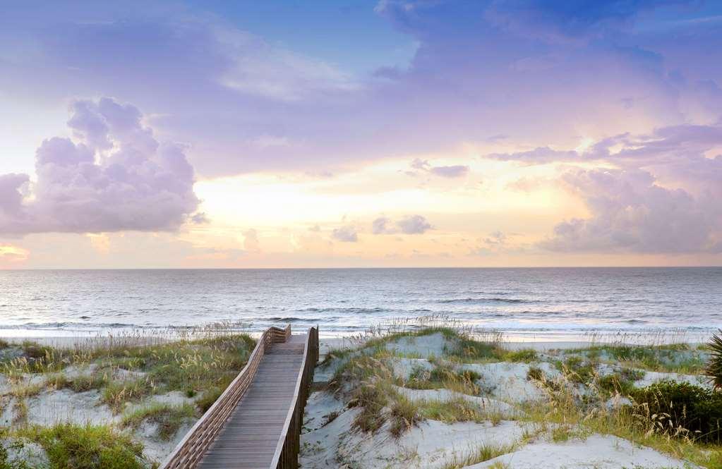 Jekyll Ocean Club Resort Jekyll Island Natura foto